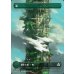 画像1: 森/Forest (1)