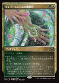 ヴィゴーブルームの魔除け/Vigorbloom Charm