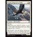 画像2: 大岩だなの大鷲/Eagle of the Great Shelf (2)