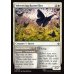 画像2: ビロード羽の蝶/Velvetwing Butterflies (2)