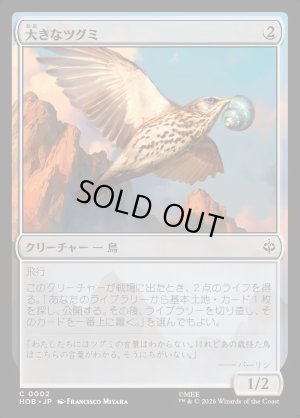 画像1: 大きなツグミ/Old Thrush