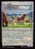 ポニーの群れ/Troop of Ponies