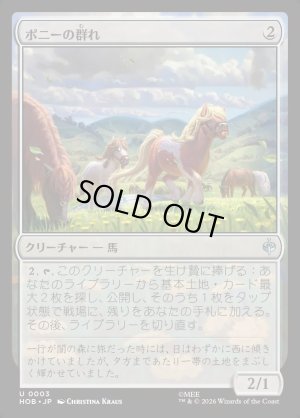 画像1: ポニーの群れ/Troop of Ponies