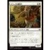 画像1: ドワーフの補給兵/Dwarven Provisioner (1)