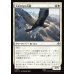 画像1: 大岩だなの大鷲/Eagle of the Great Shelf (1)