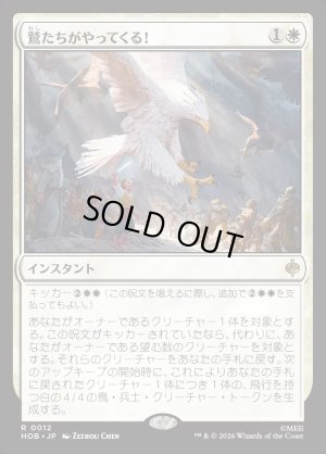 画像1: 鷲たちがやってくる！/The Eagles Are Coming!