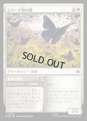 画像1: ビロード羽の蝶/Velvetwing Butterflies