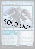 この上なくよぼよぼな年より鳥/Most Decrepit Old Bird