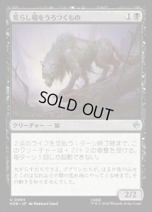画像1: 荒らし場をうろつくもの/Desolation Prowler