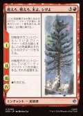 燃えろ、燃えろ、木よ、シダよ/Burn, Burn, Tree and Fern