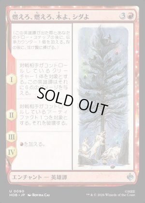 画像1: 燃えろ、燃えろ、木よ、シダよ/Burn, Burn, Tree and Fern