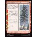 画像1: 燃えろ、燃えろ、木よ、シダよ/Burn, Burn, Tree and Fern (1)