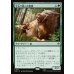 画像1: 宝石で飾った魔狼/Bejeweled Warg (1)