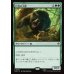 画像1: 巨怪の大熊/Gigantic Big Bear (1)