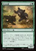 小さな熊/Little Bear