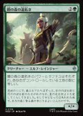 闇の森の道拓き/Mirkwood Pathmaker