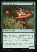 やっかいな仔ウサギ/Nasty Little Rabbit