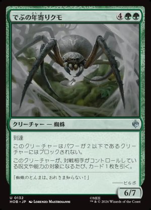 画像1: でぶの年寄りクモ/Old Fat Spider