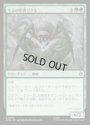 画像1: でぶの年寄りクモ/Old Fat Spider