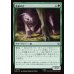 画像1: 魔狼の仔/Wargling (1)