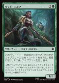 ウッド・エルフ/Wood Elves