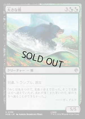 画像1: 大きな熊/Large Bear