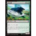 画像1: 大きな熊/Large Bear (1)