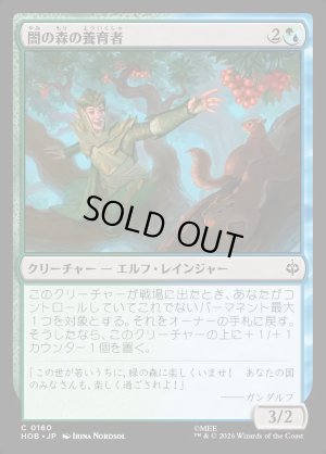 画像1: 闇の森の養育者/Mirkwood Nurturer
