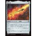 画像1: 黒い矢/The Black Arrow (1)
