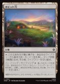 ホビット穴/Hobbit Hole