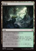 闇の森/Mirkwood