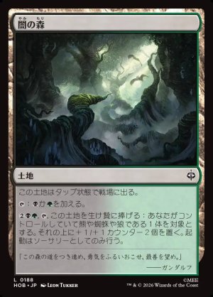 画像1: 闇の森/Mirkwood