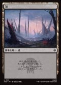 沼/Swamp