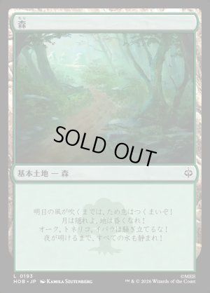 画像1: 森/Forest