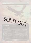 鷲たちがやってくる！/The Eagles Are Coming!