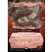 画像1: 砂漠のとぐろ長虫/Desert Were-Worm (1)