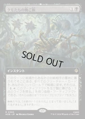 画像1: クモたちの晩ご飯/Supper for Spiders