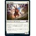 画像1: 内陸の聖別者/Hinterland Sanctifier (1)