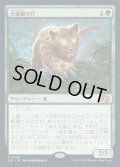 大鎌猫の仔/Scythecat Cub