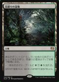 花盛りの湿地/Blooming Marsh
