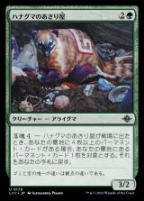 ハナグマのあさり屋/Coati Scavenger