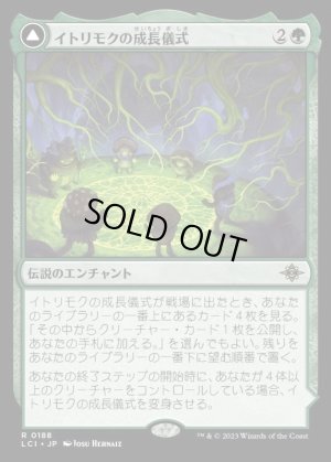 画像1: イトリモクの成長儀式/Growing Rites of Itlimoc