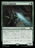 《翡翠光の洞窟探検家/Jadelight Spelunker(0196)》【JPN】[LCI緑R]
