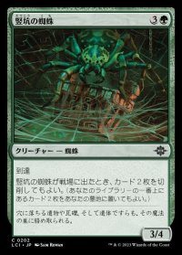 竪坑の蜘蛛/Mineshaft Spider