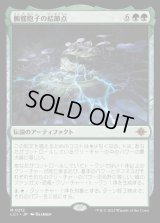 髑髏胞子の結節点/The Skullspore Nexus