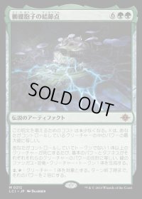 髑髏胞子の結節点/The Skullspore Nexus