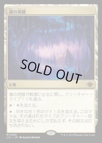 魂の洞窟/Cavern of Souls