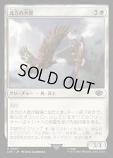 《北方の大鷲/Eagles of the North(0007)》【JPN】[LTR白C]