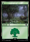 《森/Forest(0271)》【JPN】[LTR土地L]