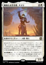 確固たる生存者、タズリ/Tazri, Stalwart Survivor